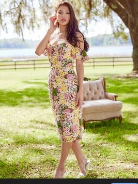 NWT Dress The Population Tara Floral Embroidery MIDI Dress L & XS